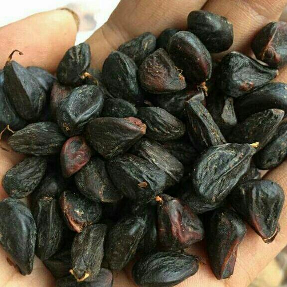 Hạt dổi rừng 100g
