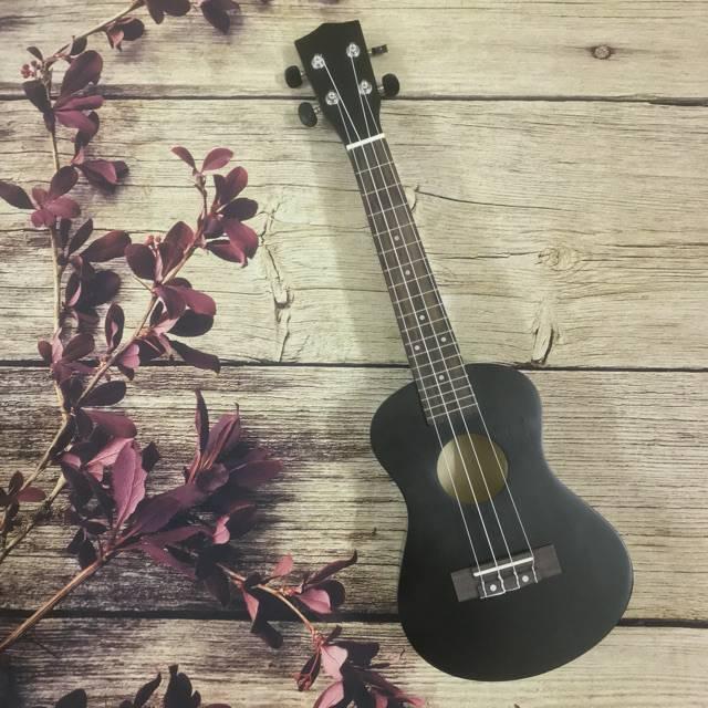 Đàn Ukulele Soprano Magnate ( full phụ kiện ).