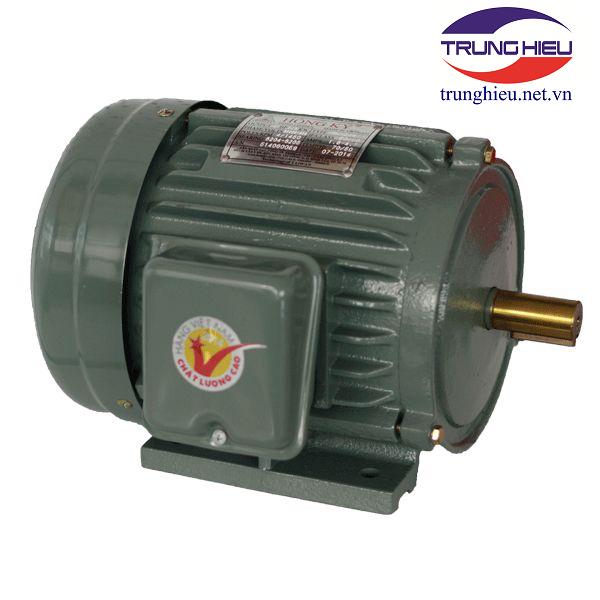 Motor vỏ gang chân đế Hồng Ký - JET 2.2KW