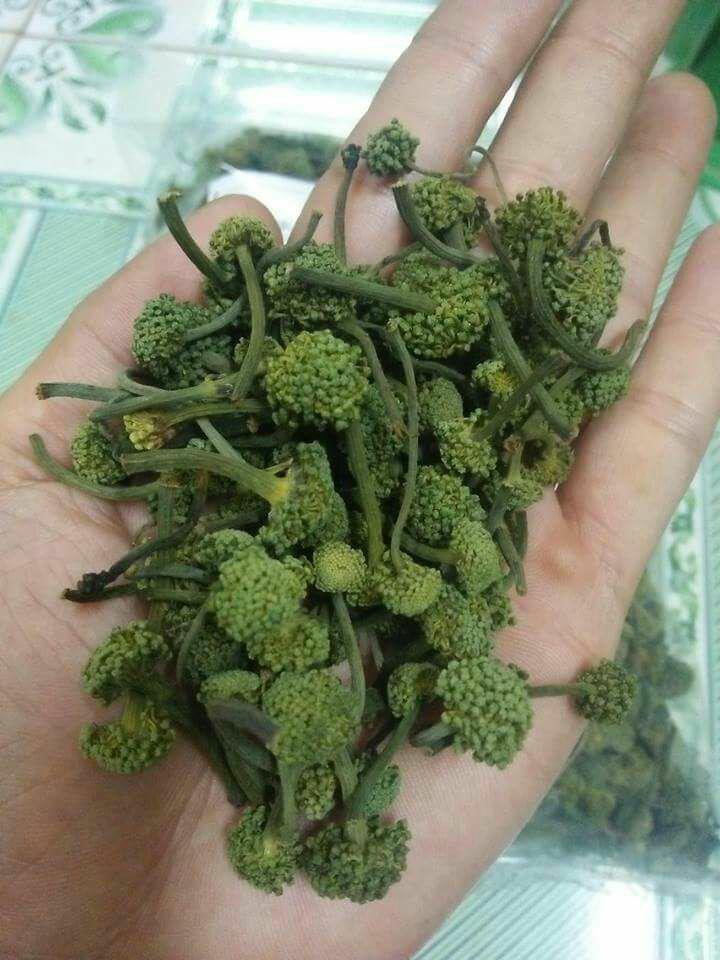 Nụ hoa tam thất khô 100g