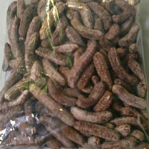 Chuối hột rừng cả quả 1kg.