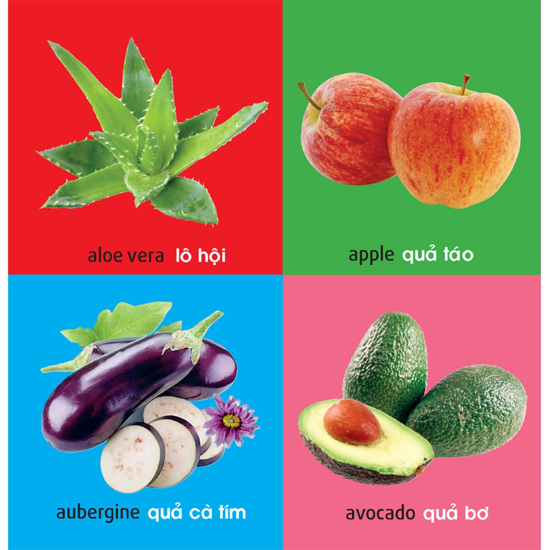 Sách: 101 First Words - Plants /101 Từ Đầu Tiên - Thực Vật ( TB )
