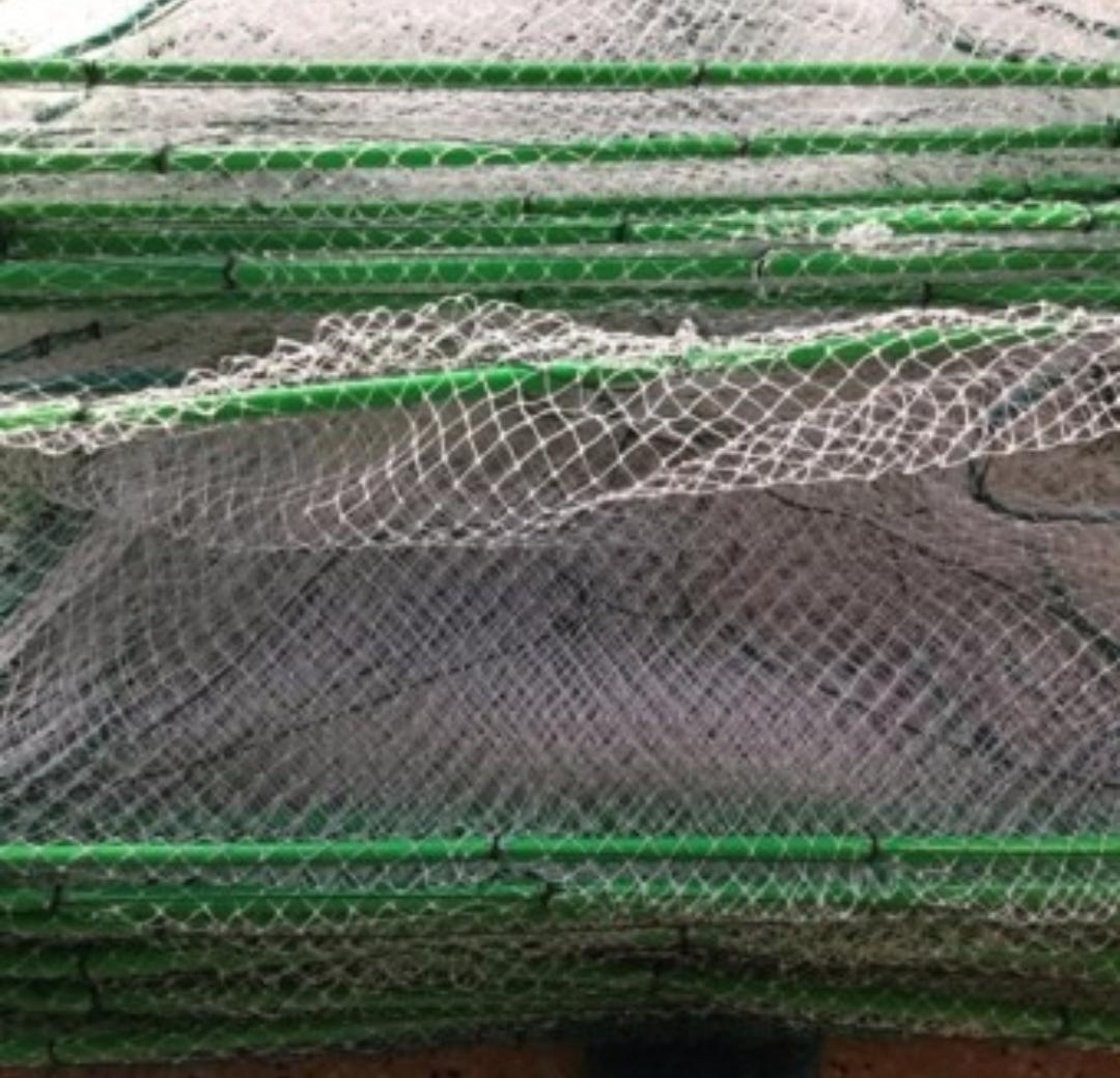 Lưới Lồng bát quái bắt tôm cua cá 29 cửa ngục