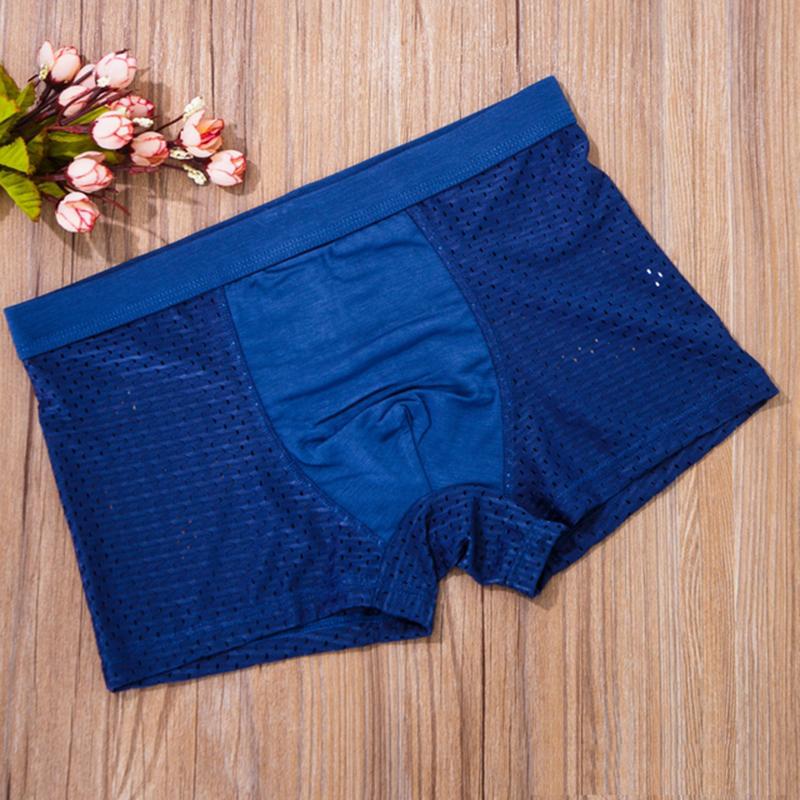 Combo 5 quần sịp đùi thông hơi bs1700