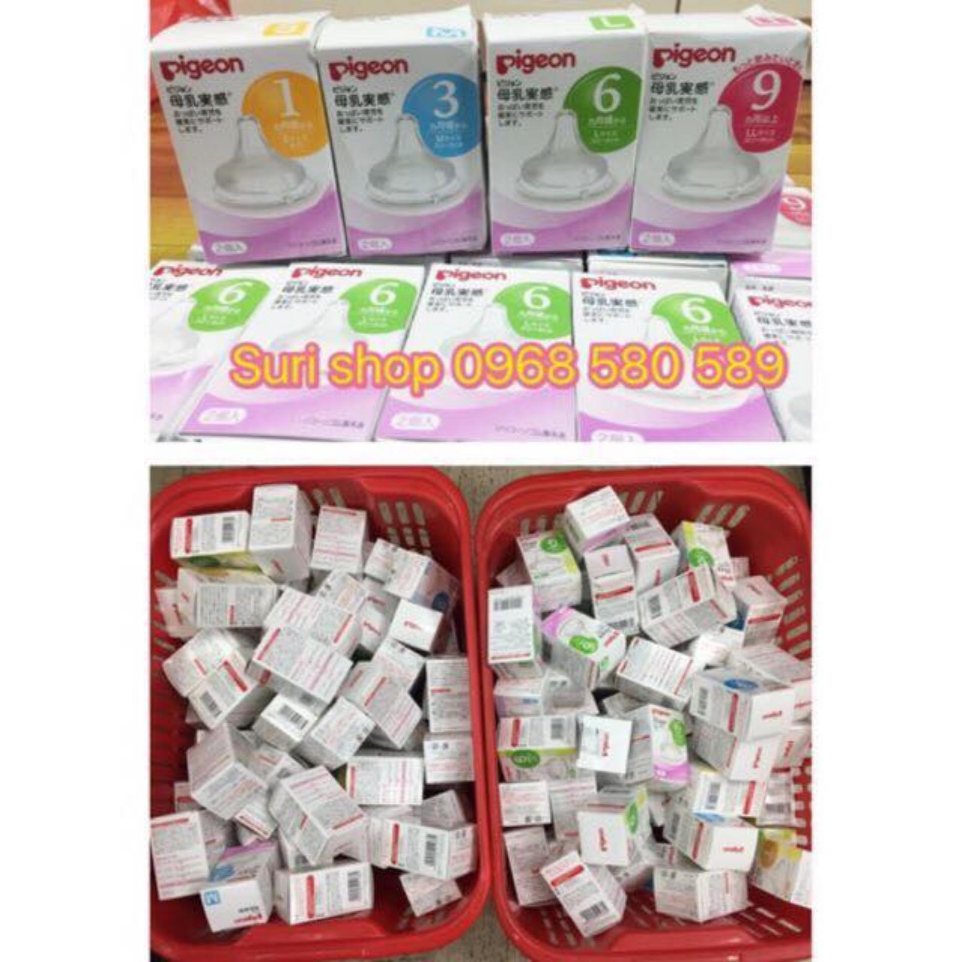 SET 2 NÚM TI PIGEON NỘI ĐỊA NHẬT(size M)