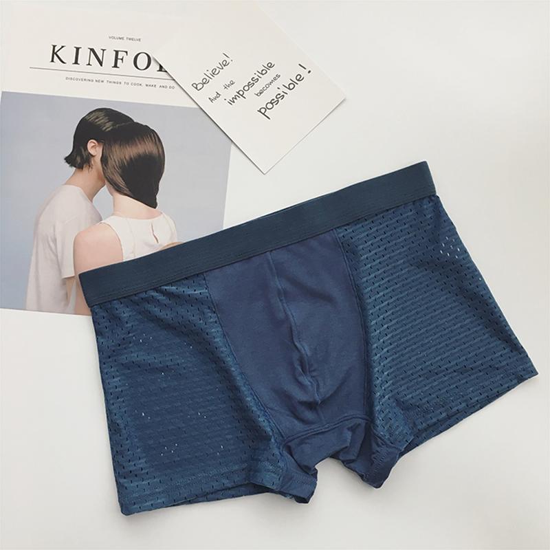 Combo 5 quần sịp đùi thông hơi bs1700