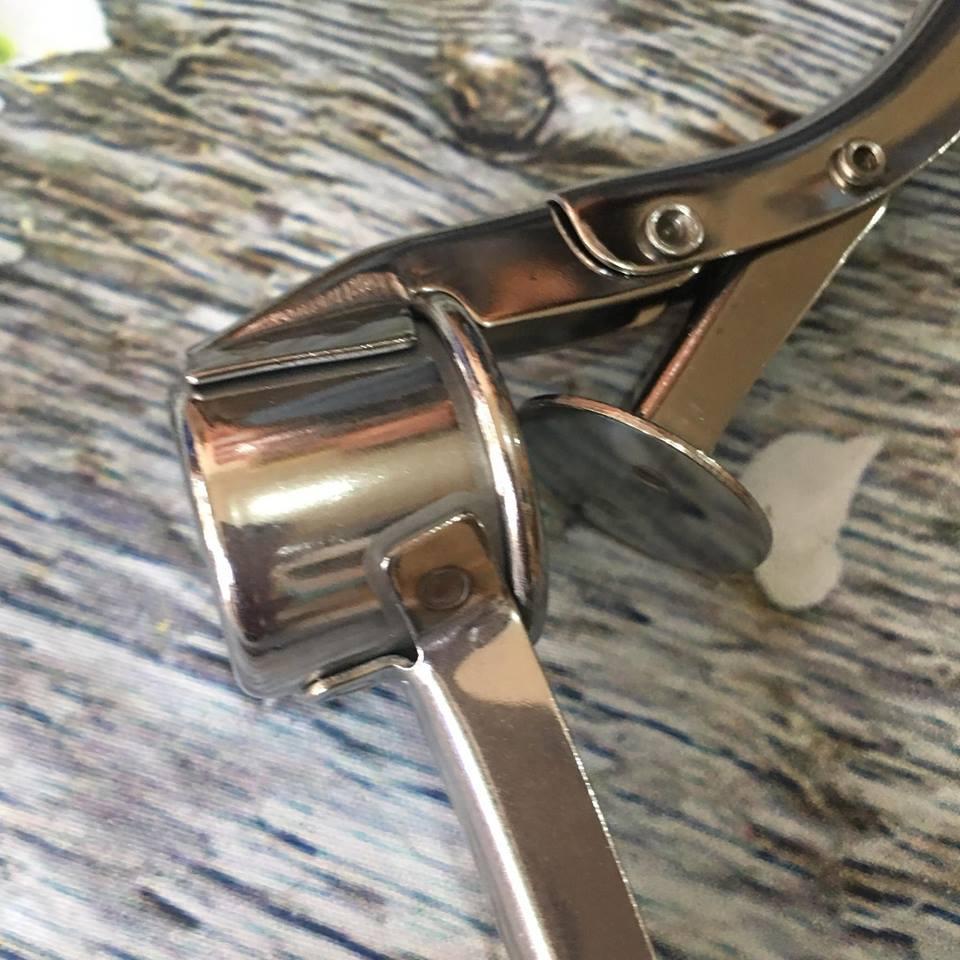 Dụng cụ ép tỏi bằng inox cao cấp