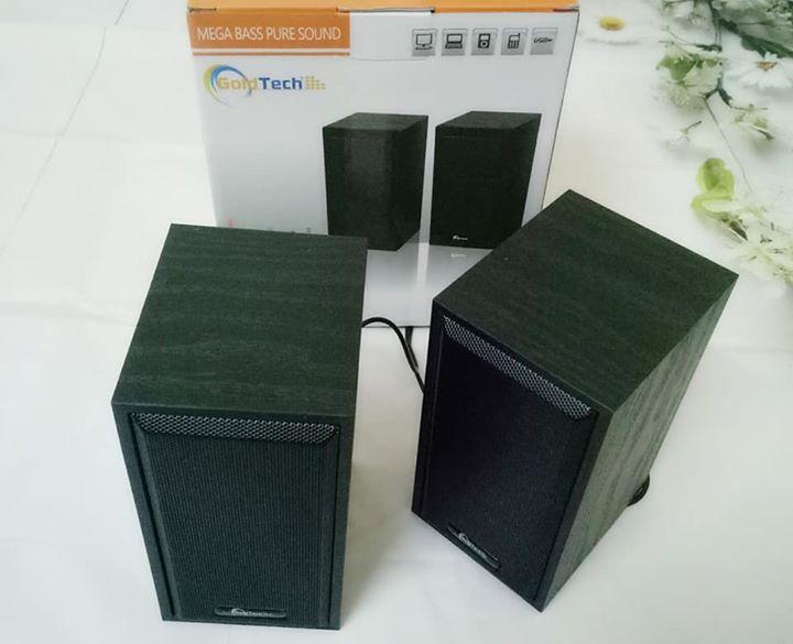BỘ 2 LOA VI TÍNH GỖ GOLDTECH M22