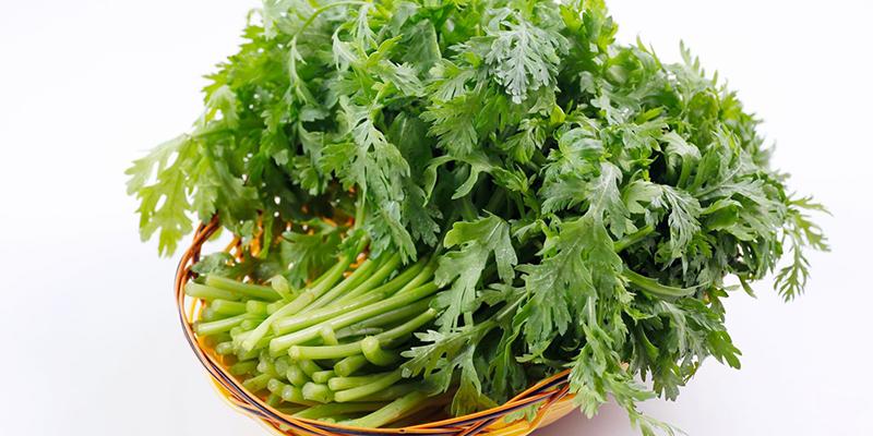 Hạt Giống Rau Tần Ô Dễ Trồng (20 Gam)