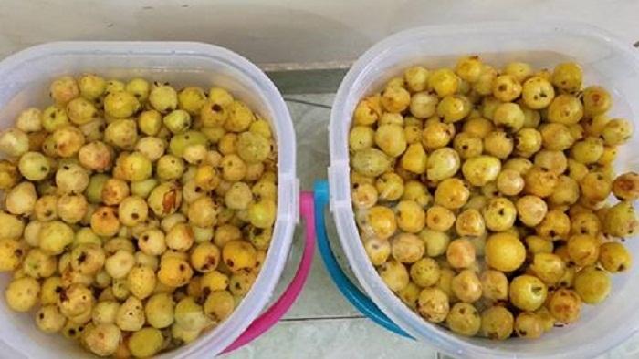 Bộ 2 chai dấm táo mèo