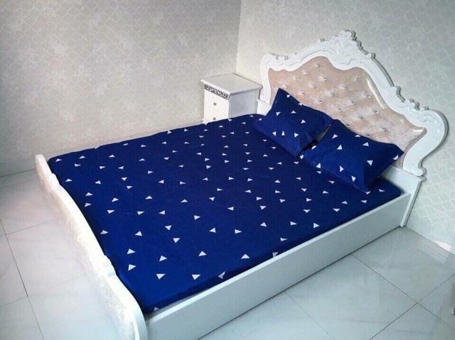 Bộ ga chun & gối cotton poly họa tiết 2.2x2m
