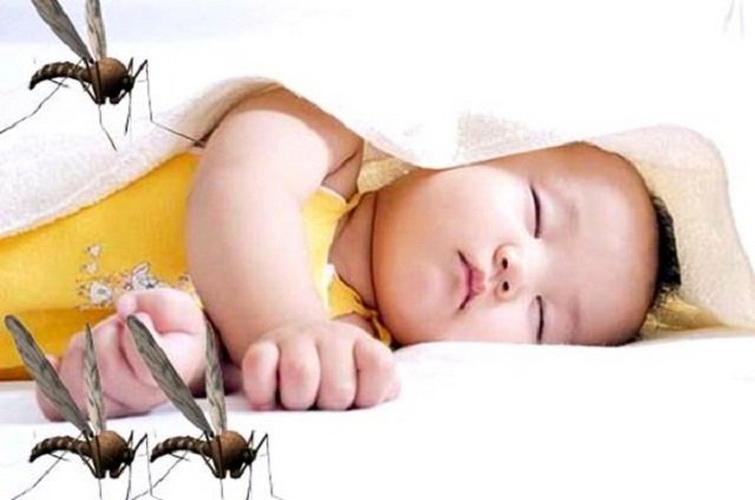 [HCM]Tinh dầu sả java đuổi muỗi kiến và côn trùng 100ml