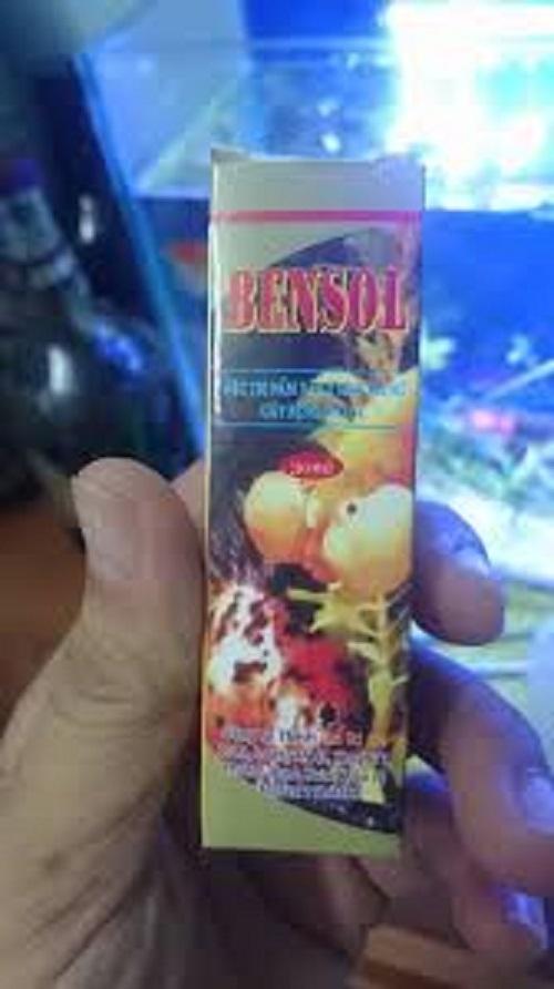 Bộ 2 hộp thuốc chữa Bensol bệnh nấm và làm trong nước cho cá