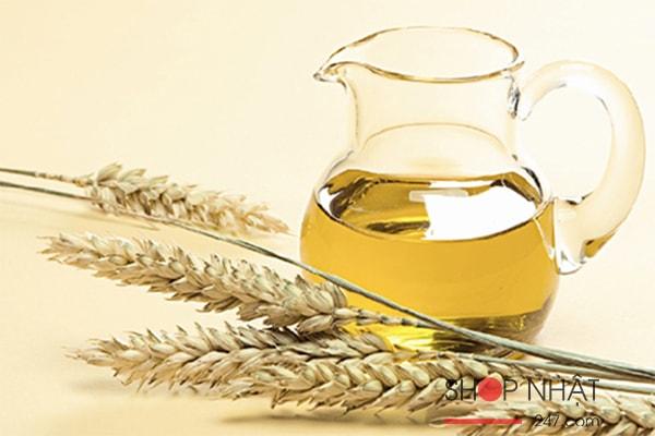 Trà Lúa Mạch Hàn Quốc Dongsul Hộp 300G 동서)보리차