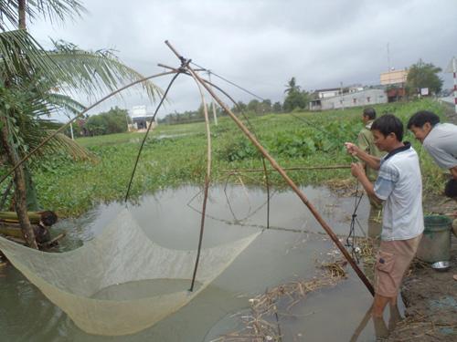 Vó cất tôm cá - Vó 2m ( A cường Fishing )