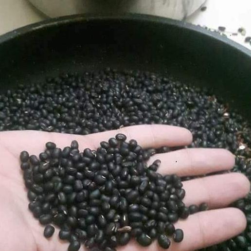 Đỗ đen rang xanh lòng hạ thổ