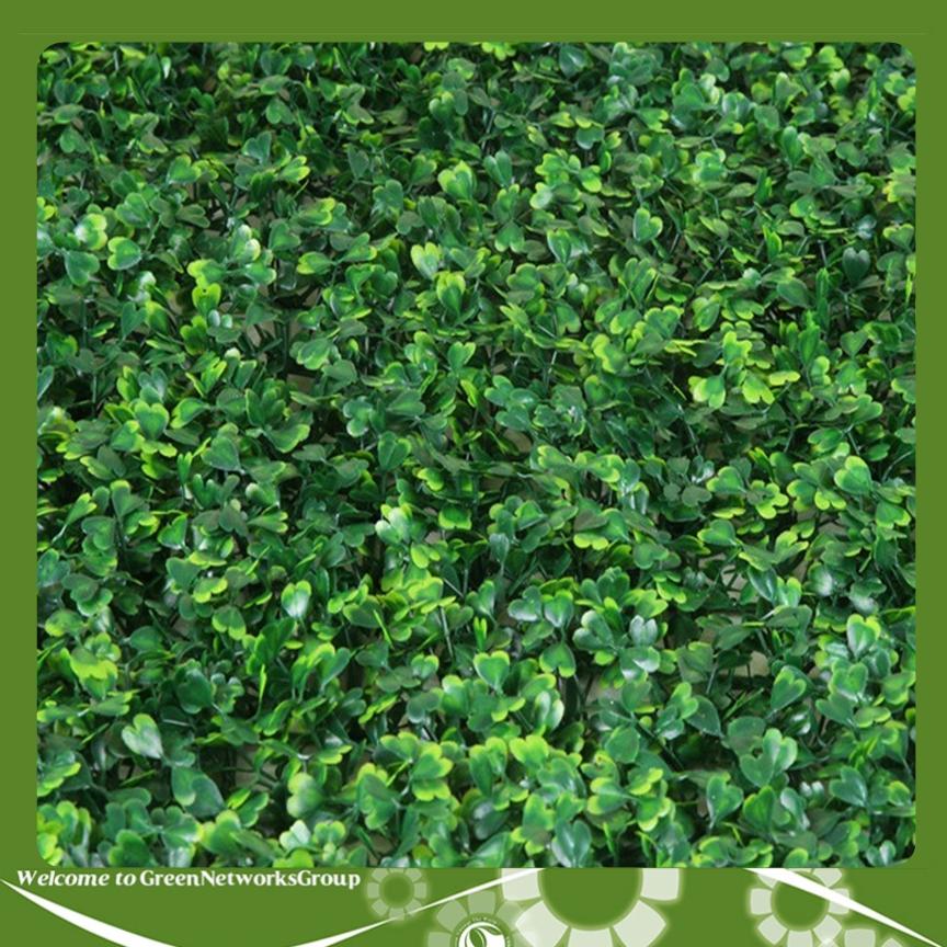 Thảm cỏ nhân tạo ốp tường - xà lách xoong GreenNetworks