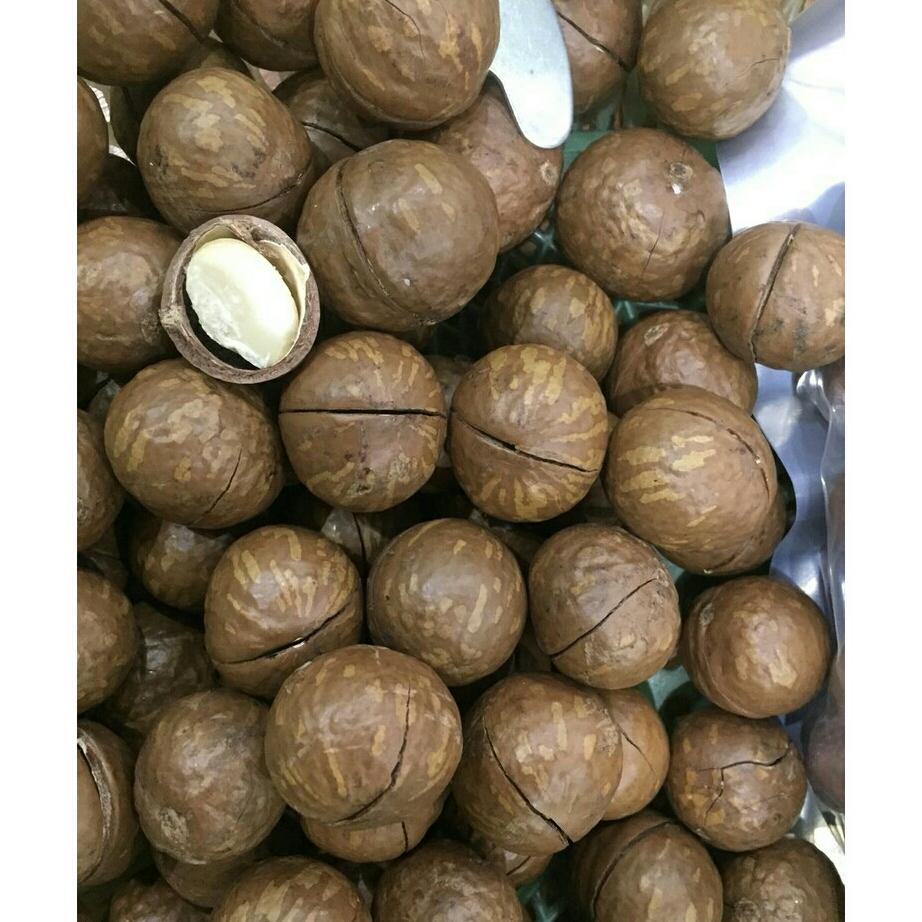 Hạt macca 1kg