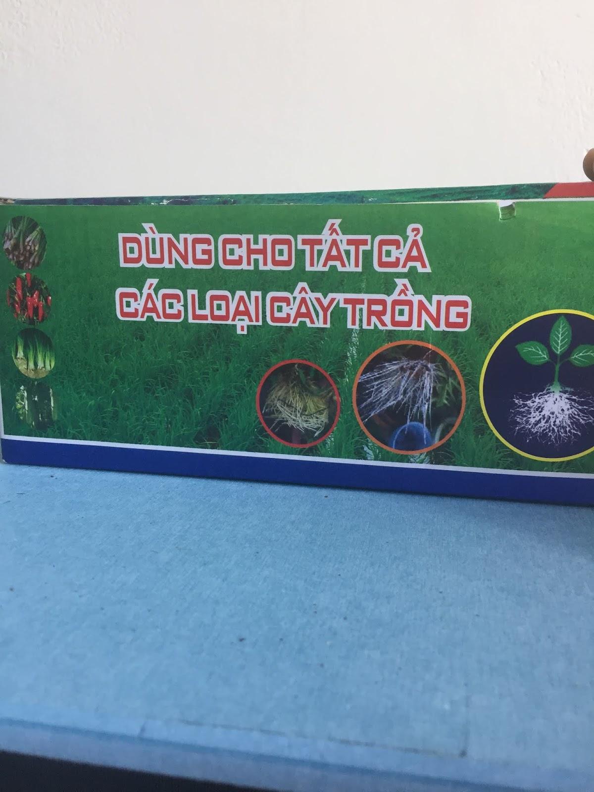 6 lọ Siêu ra rễ cực mạnh Root king