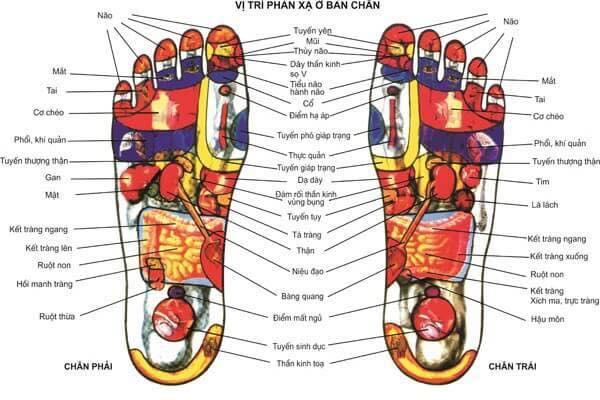 Hộp đá muối Himalaya massage chân mặt phẳng