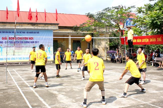 Bóng chuyền hơi thi đấu Set 5 quả để tập