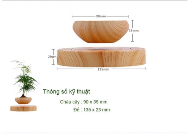 Chậu Cây bay Bonsai bay