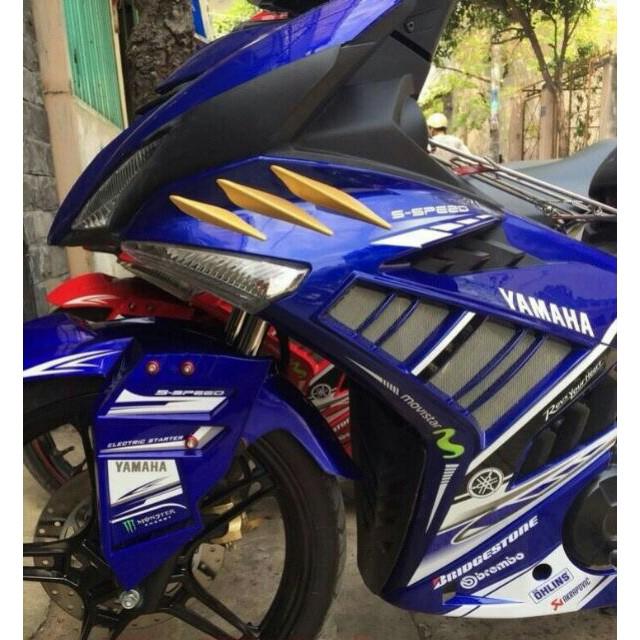 [HCM]Cánh bửng trang trí exciter 150
