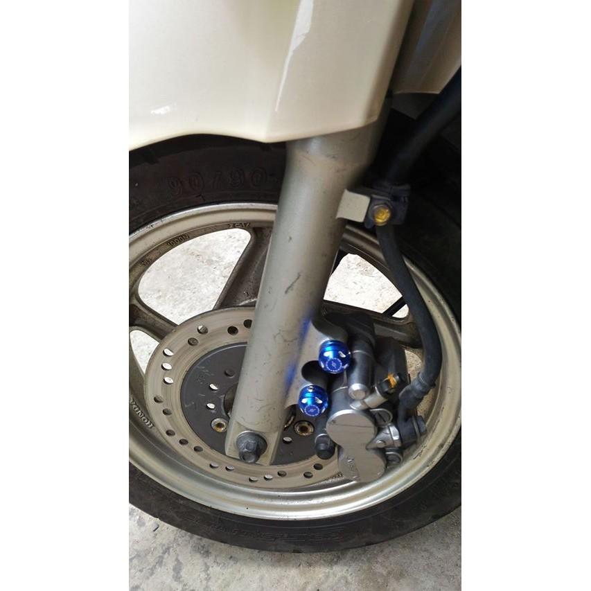 [HCM]Ốc bảo vệtrang tri heo dầu(1 cặp)
