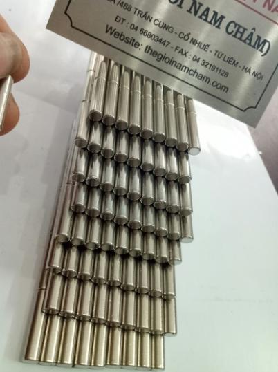 80 viên nam châm 4*20mm