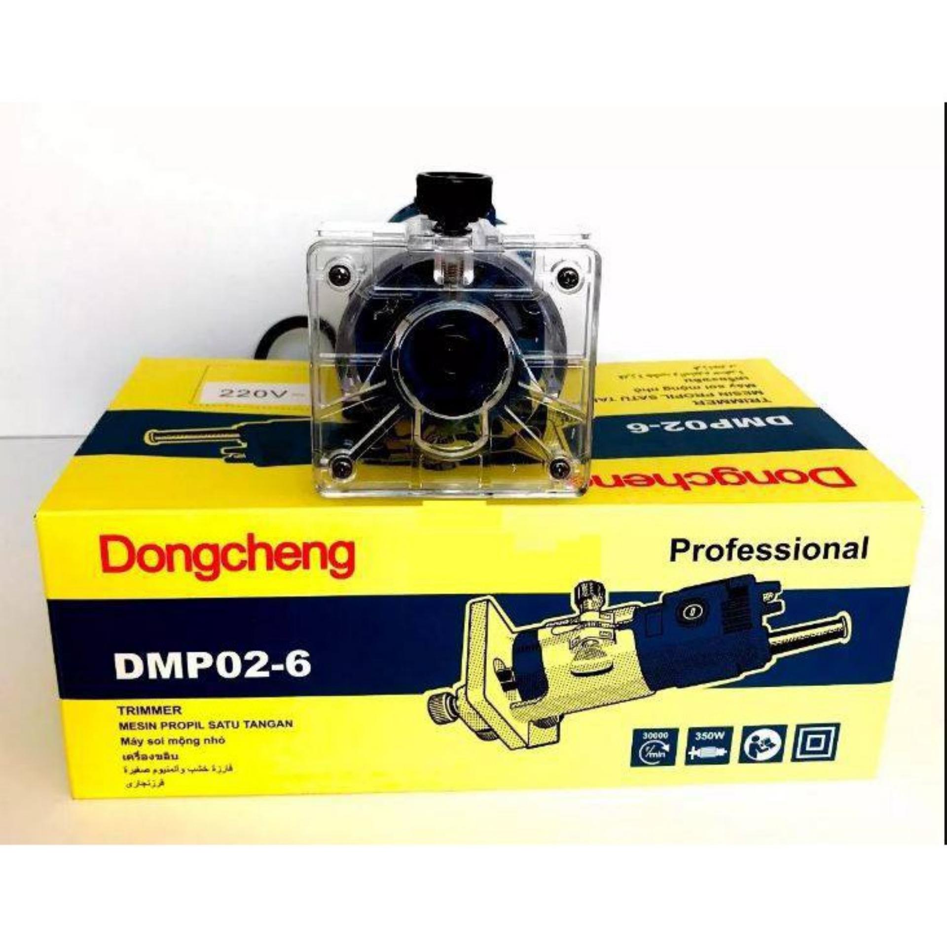Máy soi nhỏ Dongcheng DMP02-6
