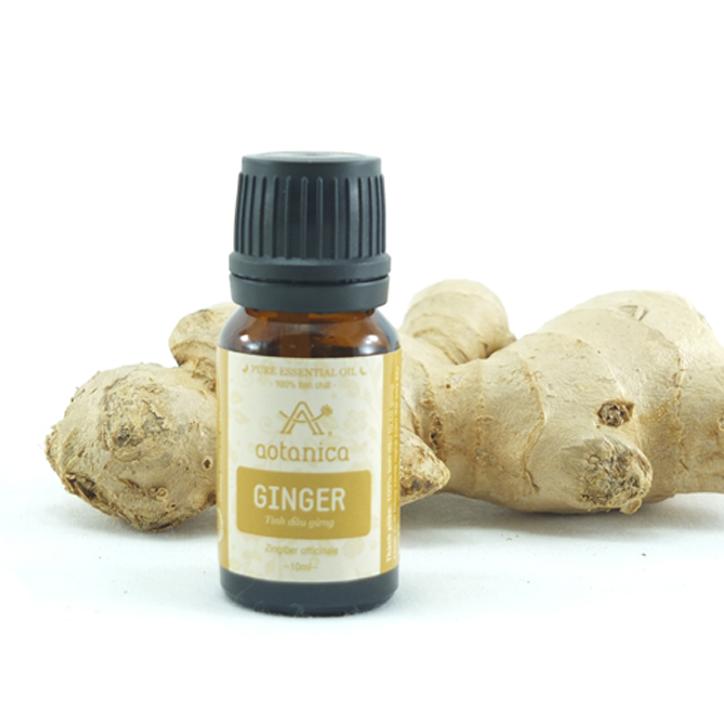 Tinh dầu Gừng 100% tự nhiên Aotanica