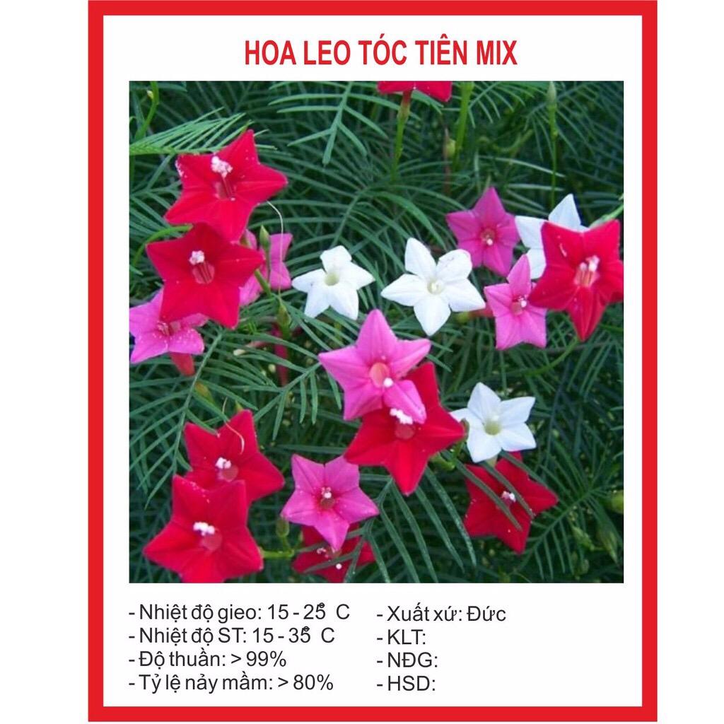 [Lấy mã giảm thêm 30%] Hạt Giống Hoa Leo Tóc Tiên Mix (10 hạt)