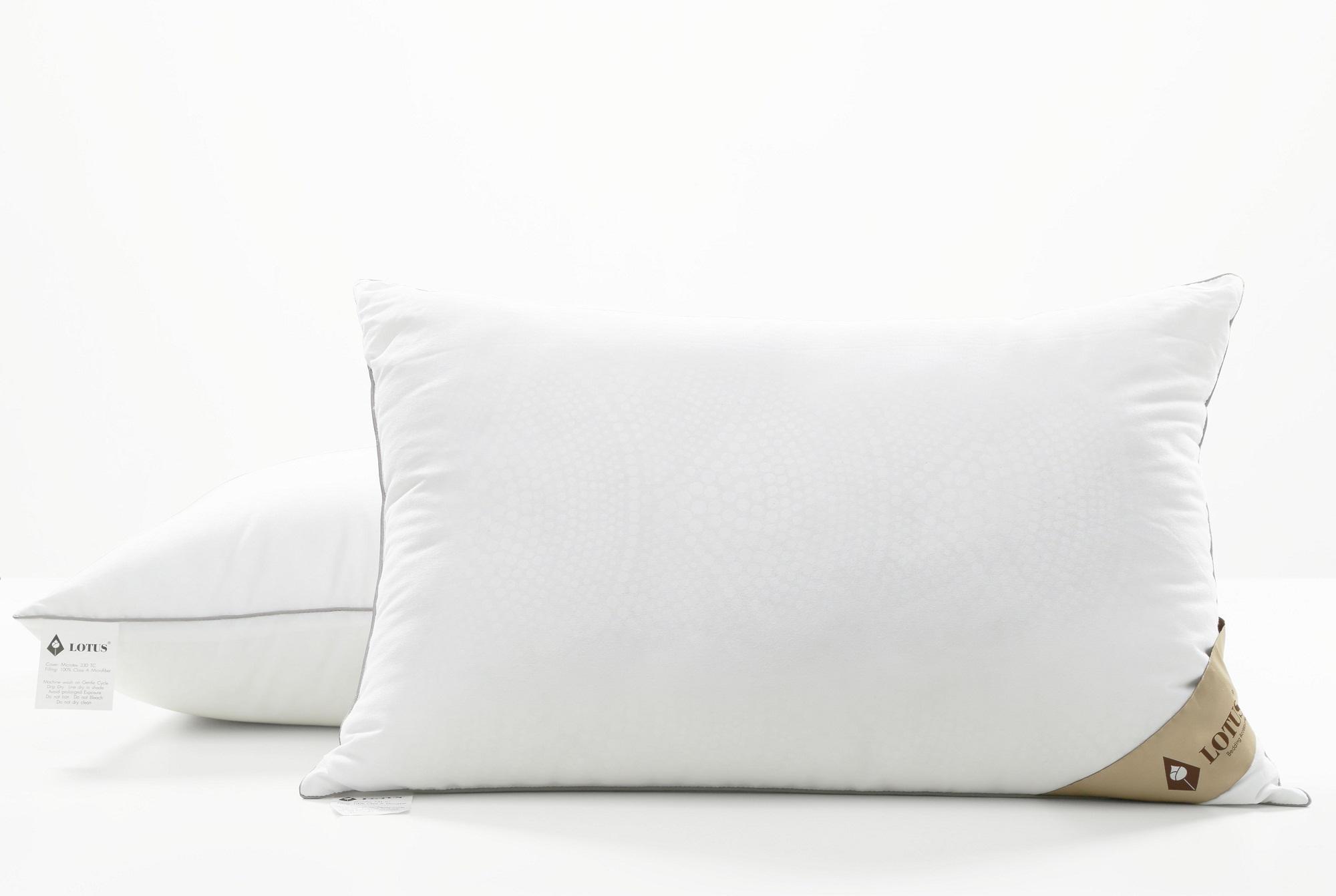 Gối nằm lông ngỗng 50x70