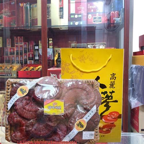 Nấm Linh Chi Núi Đỏ thơm Hàn Quốc Đóng Giỏ 1kg