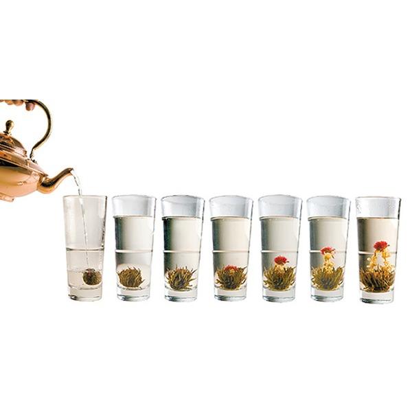 [HCM]TRÀ HOA NGHỆ THUẬT - BLOOMING TEA MỘC HOA TRÀ
