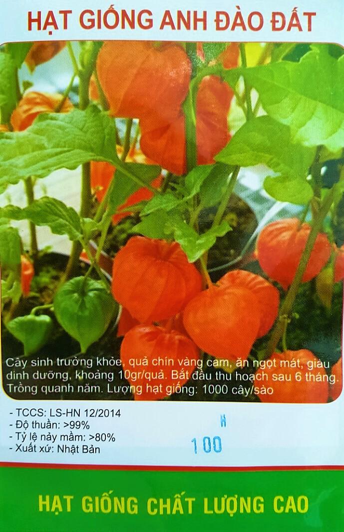 [HCM]Hạt Giống Quả Anh Đào Đất Nhật Bản - KLT 100 hạt .