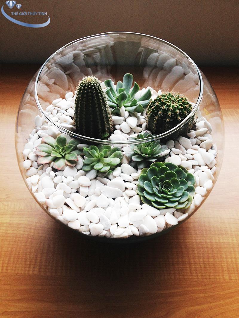 HỒ CÁ THỦY TINH BẦU BỂ CÁ D17cm x H13cm T11