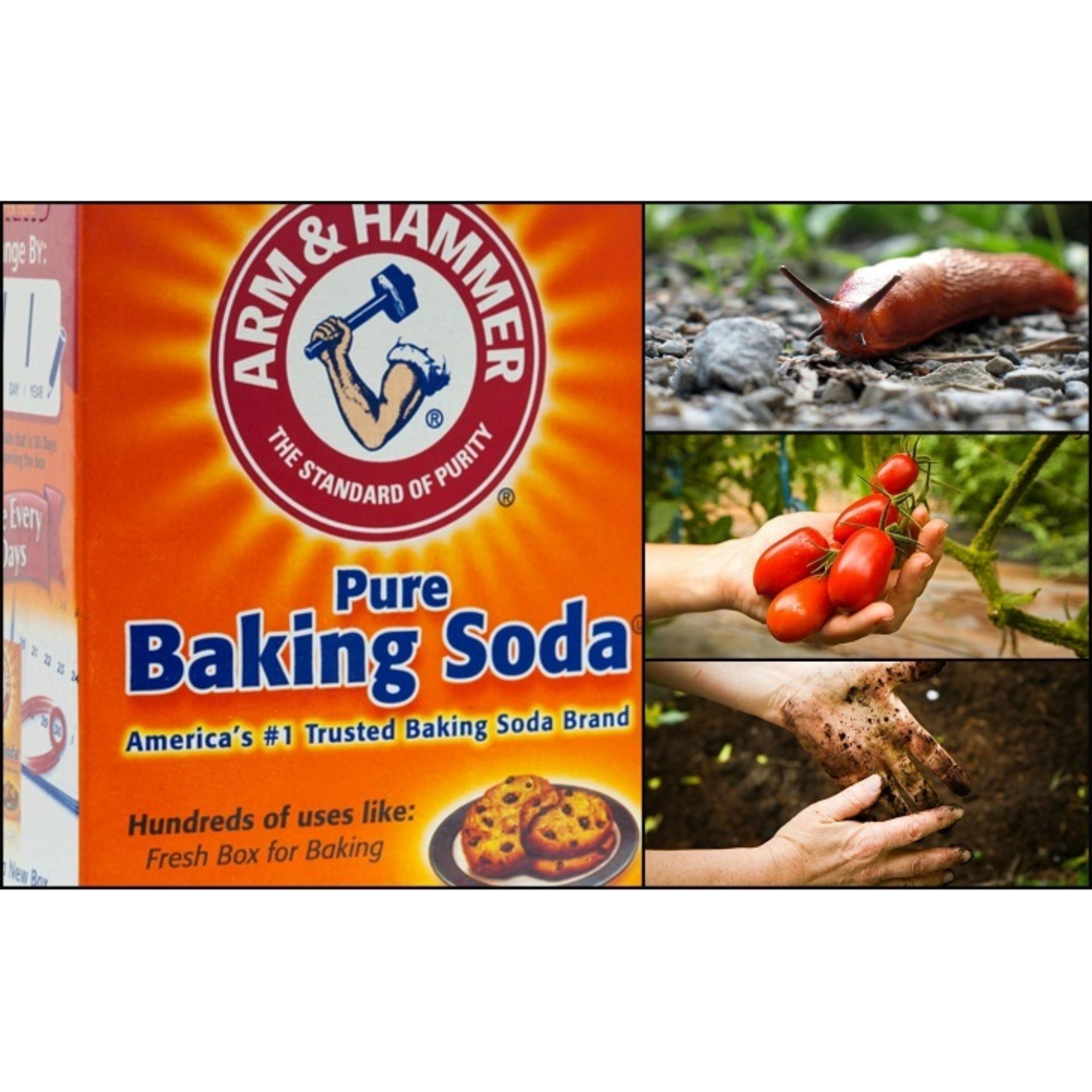 Bộ 3 Bột Baking Soda đa công dụng 454g .