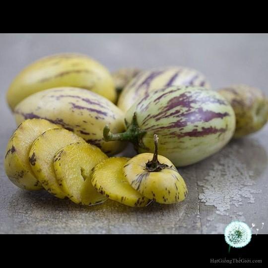 25 Hạt Hạt Giống Dưa Pepino (Solanum muricatum)