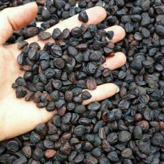 Hạt dổi rừng 100g