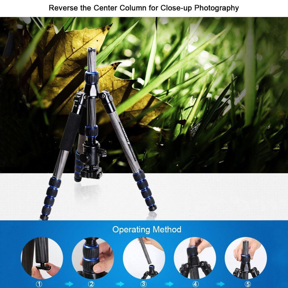 Chân máy ảnh Tripod/ Monopod Manbily CZ-302