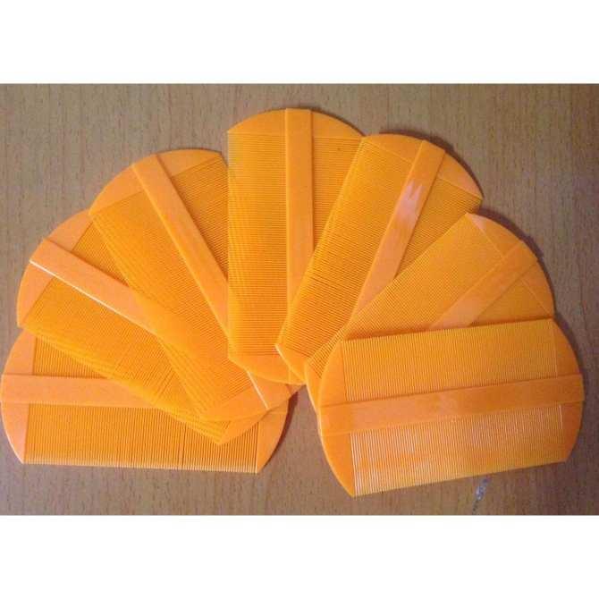 48 chiếc lược bí bằng nhựa ( 2 hộp )