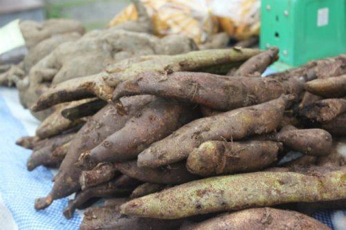 Cốt toái bổ (Tắc kè đá) khô 500g