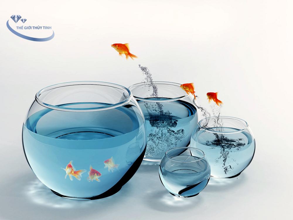 HỒ CÁ THỦY TINH BẦU BỂ CÁ D14cm x H12cm T01