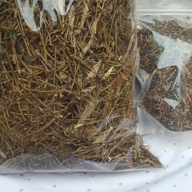 Cà gai leo khô 1kg.