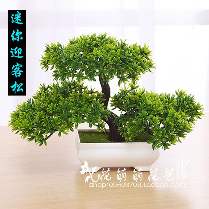 Trong Nhà Màu Xanh Lá Cây Mô Phỏng Sinh Ba Chào Đón Chậu Bonsai Nhỏ