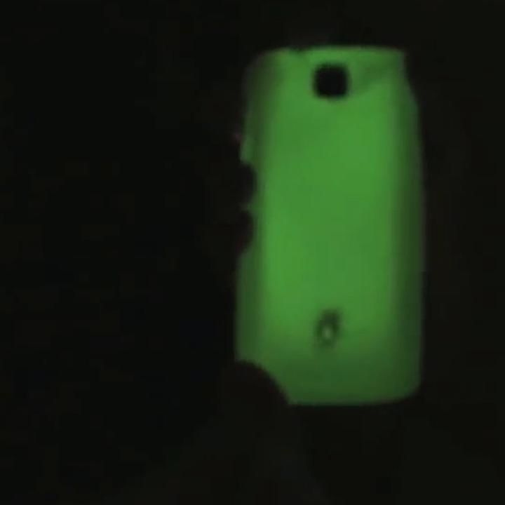 Sơn dạ quang ( PHOSPHORESCENT), phát sáng ban đêm Bosny