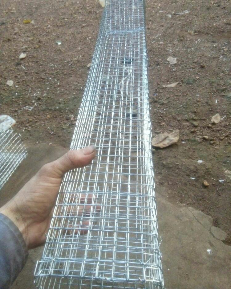 Lồng bẫy rắn 2 hom loại dài 74cm