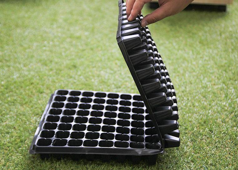Bộ 5 khay ươm hạt giống 128 lỗ