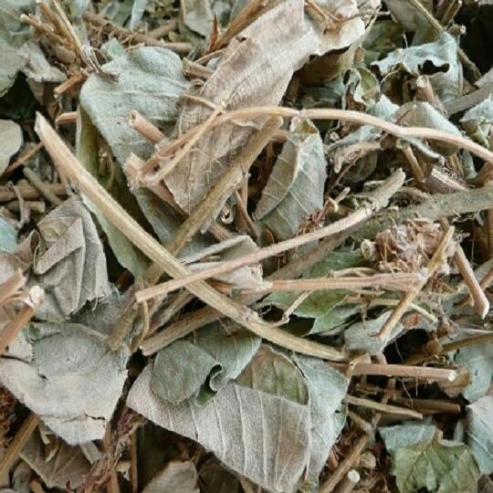 Kim tiền thảo 1kg.